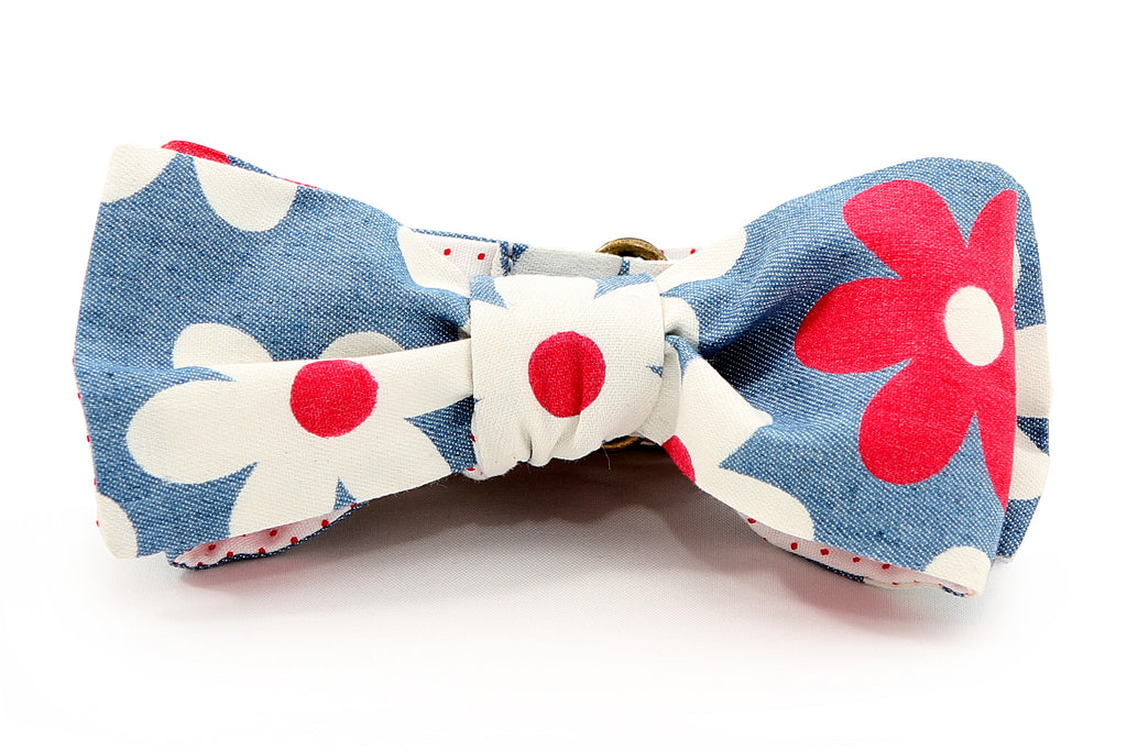 Isaac Bow Tie